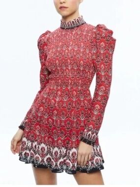 Alice + Olivia | Elvira Smocked Bodice Boho Puff Sleeve Mini Dress 4